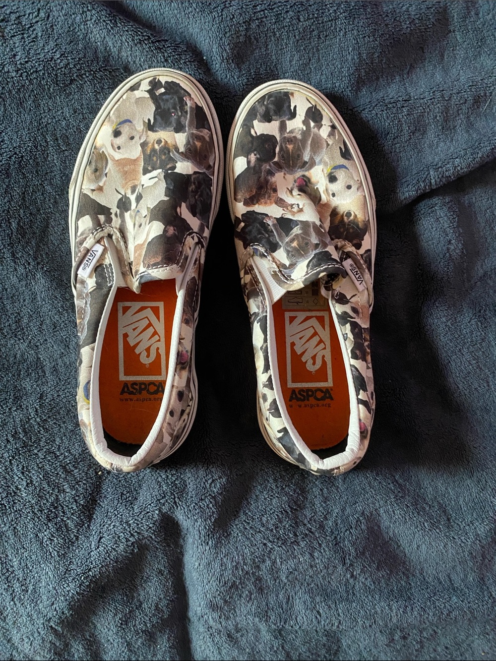 Dog van sneakers